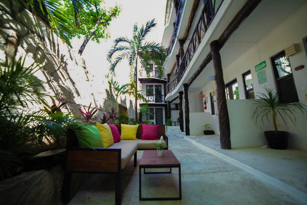 Siesta Fiesta Hotel Adults Only - 5Th Avenue 신데 델 카르멘 외부 사진